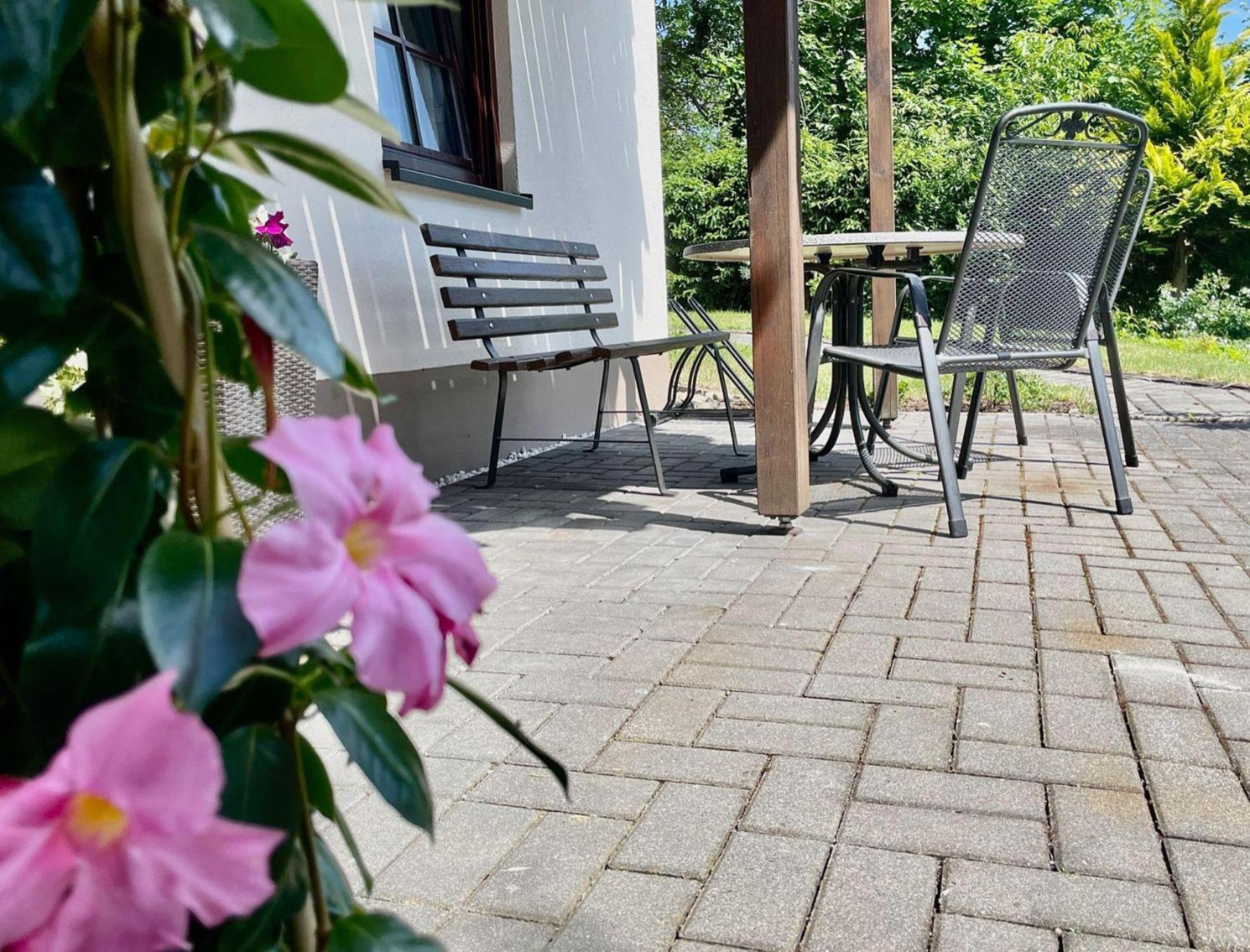 Ferienwohnung Am Südhang Muglitztal Exterior foto