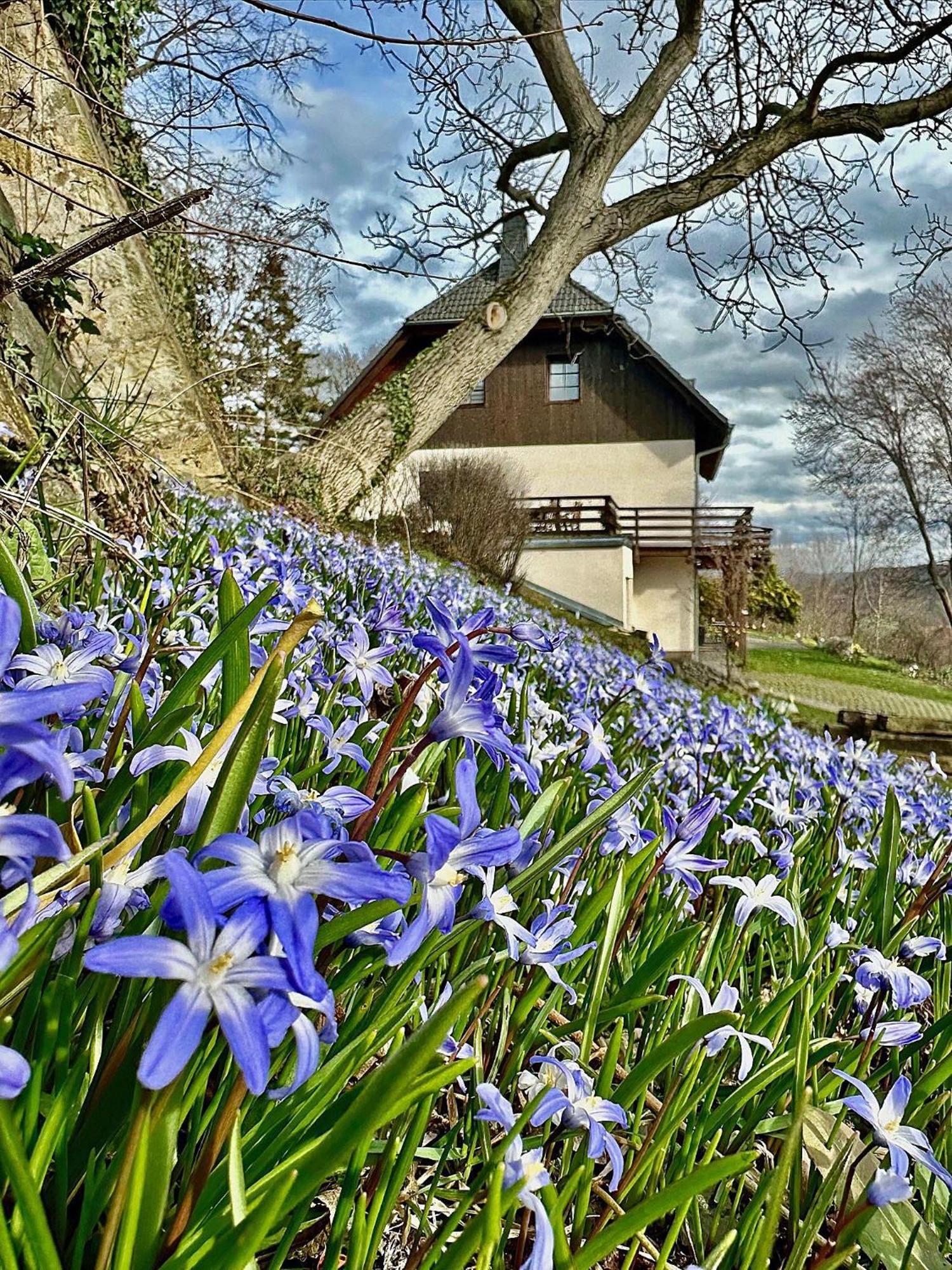Ferienwohnung Am Südhang Muglitztal Exterior foto