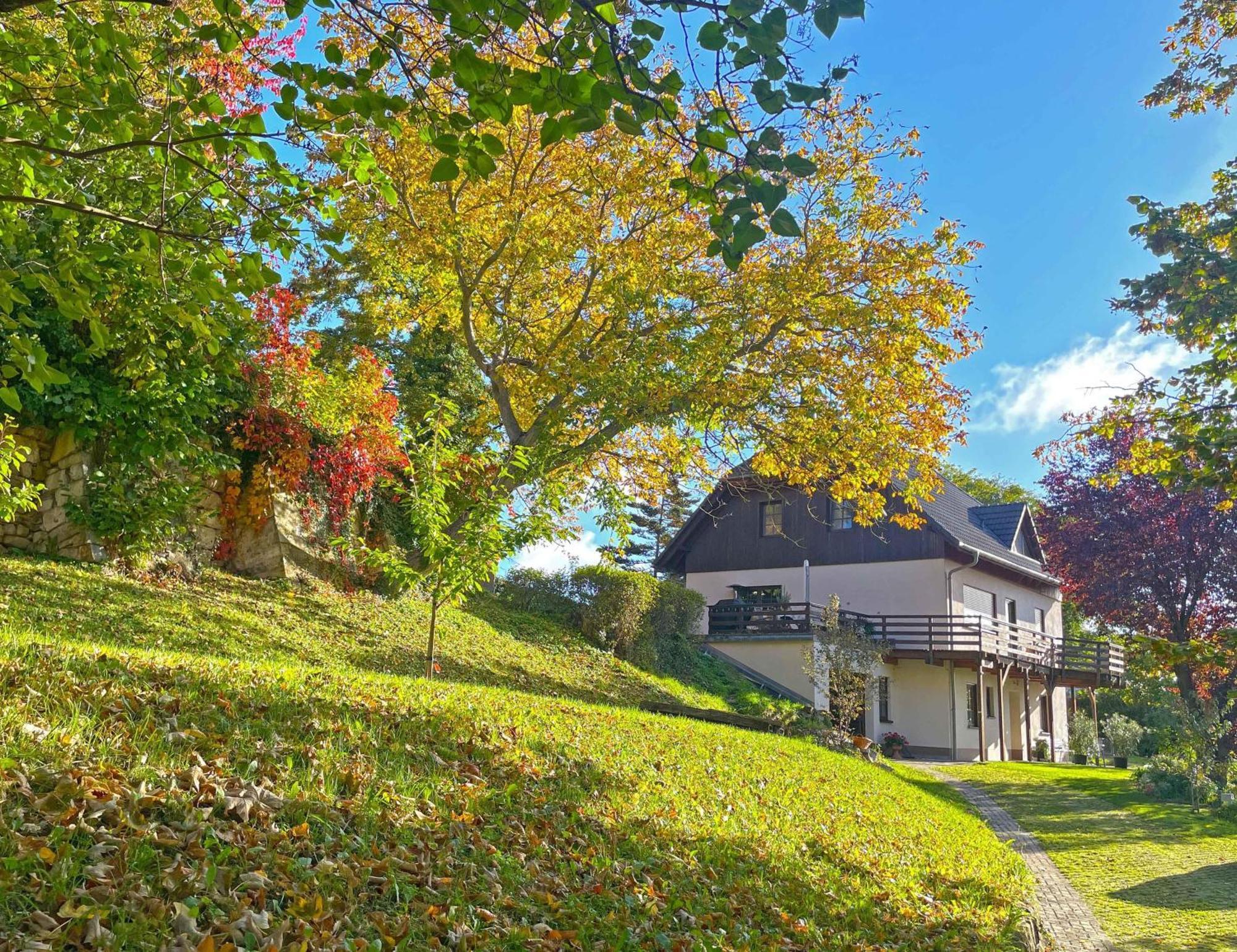 Ferienwohnung Am Südhang Muglitztal Exterior foto